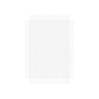 Fogli Protocollo 60 gr Quadretti Commerciali