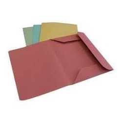 Cartellina a 3 lembi