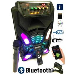 Cassa Acustica Amplificata Trolley Karaoke con Microfono 2000 Watt Bluetooth USB es-09s